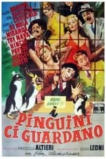 Película I pinguini ci guardano