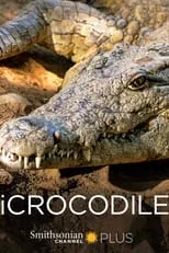 Gregory Erickson es  en iCrocodile