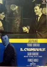 Póster de la película Il Criminale