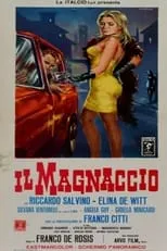 Póster de Il Magnaccio