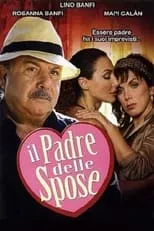 Póster de la película Il padre delle spose