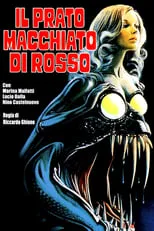 Póster de la película Il prato macchiato di rosso