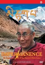 Póster de la película Impermanence