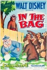 Poster de la película In the Bag - Películas hoy en TV