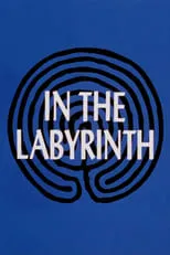 Poster de la película In the Labyrinth - Películas hoy en TV