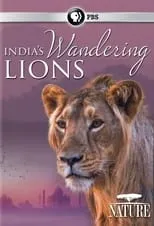 Película India's Wandering Lions