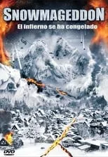 Poster de la película Infierno en la nieve - Películas hoy en TV