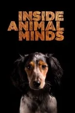 Lance Lewman es Narrator en Inside Animal Minds