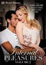 Poster de Internal Pleasures 2