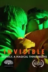 Poster de Invisible