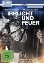 Póster de la película Irrlicht und Feuer