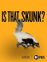 Póster de la película Is That Skunk?