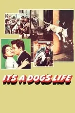 Portada de It's a Dog's Life