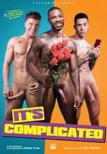 Poster de It's Complicated