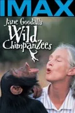 Póster de la película Jane Goodall's Wild Chimpanzees