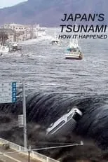 Costas Emmanuel Synolakis es Self - Coastal Engineer, University of Southern California en Japan's Tsunami: How It Happened