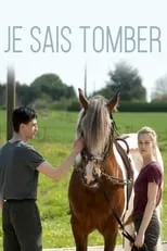 Poster de Je sais tomber