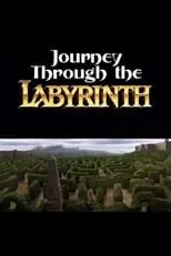 Póster de la película Journey Through the Labyrinth