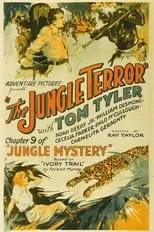 Póster de la película Jungle Mystery