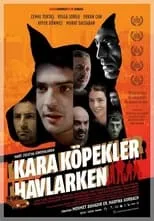 Poster de Kara Köpekler Havlarken