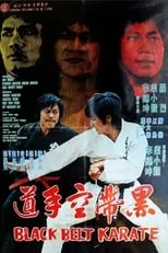 Póster de la película Karate sabuk hitam