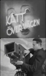 Película Katt över vägen