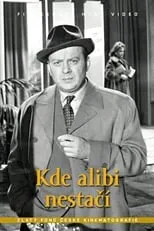 Película Kde alibi nestačí