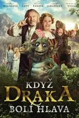 Poster de la película Když draka bolí hlava - Películas hoy en TV