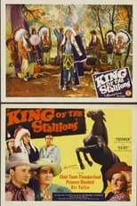 Póster de la película King of the Stallions