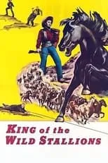 Poster de la película King of the Wild Stallions - Películas hoy en TV