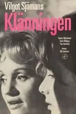 Póster de Klänningen