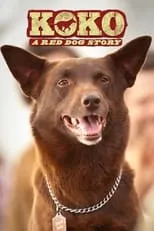 Toby Truslove interpreta a Kriv Stenders en Koko: A Red Dog Story