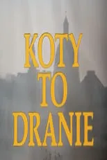 Película Koty to dranie