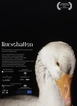 Portada de Kurschatten