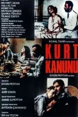 Película Kurt Kanunu