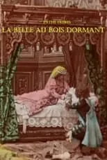 Póster de la película La Belle au bois dormant