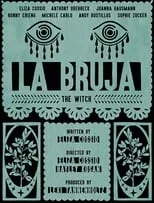 Póster de la película La bruja