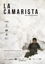 Póster de la película La Camarista