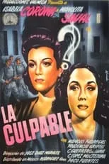 Póster de la película La culpable