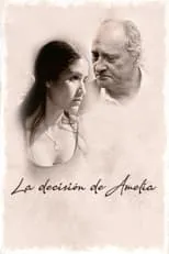 Póster de la película La decisión de Amelia