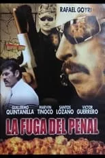 Póster de la película La Fuga del Penal