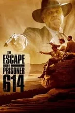 Película La fuga del prisionero 614