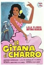 Póster de la película La gitana y el charro