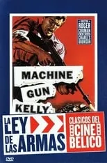 Póster de la película La ley de las armas