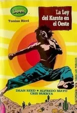 Póster de la película La ley del karate en el Oeste