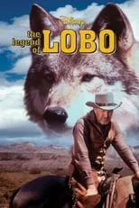 Póster de la película La leyenda del lobo