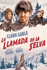 Poster de la película La llamada de la selva - Películas hoy en TV