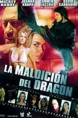 Poster de la película La maldición del dragón - Películas hoy en TV