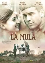 Poster de la película La mula - Películas hoy en TV