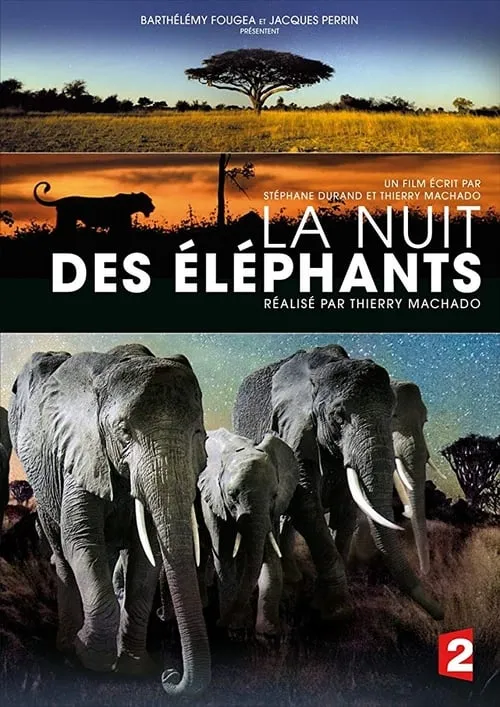 Portada de La Nuit des éléphants